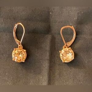 Drop Stone Earrings